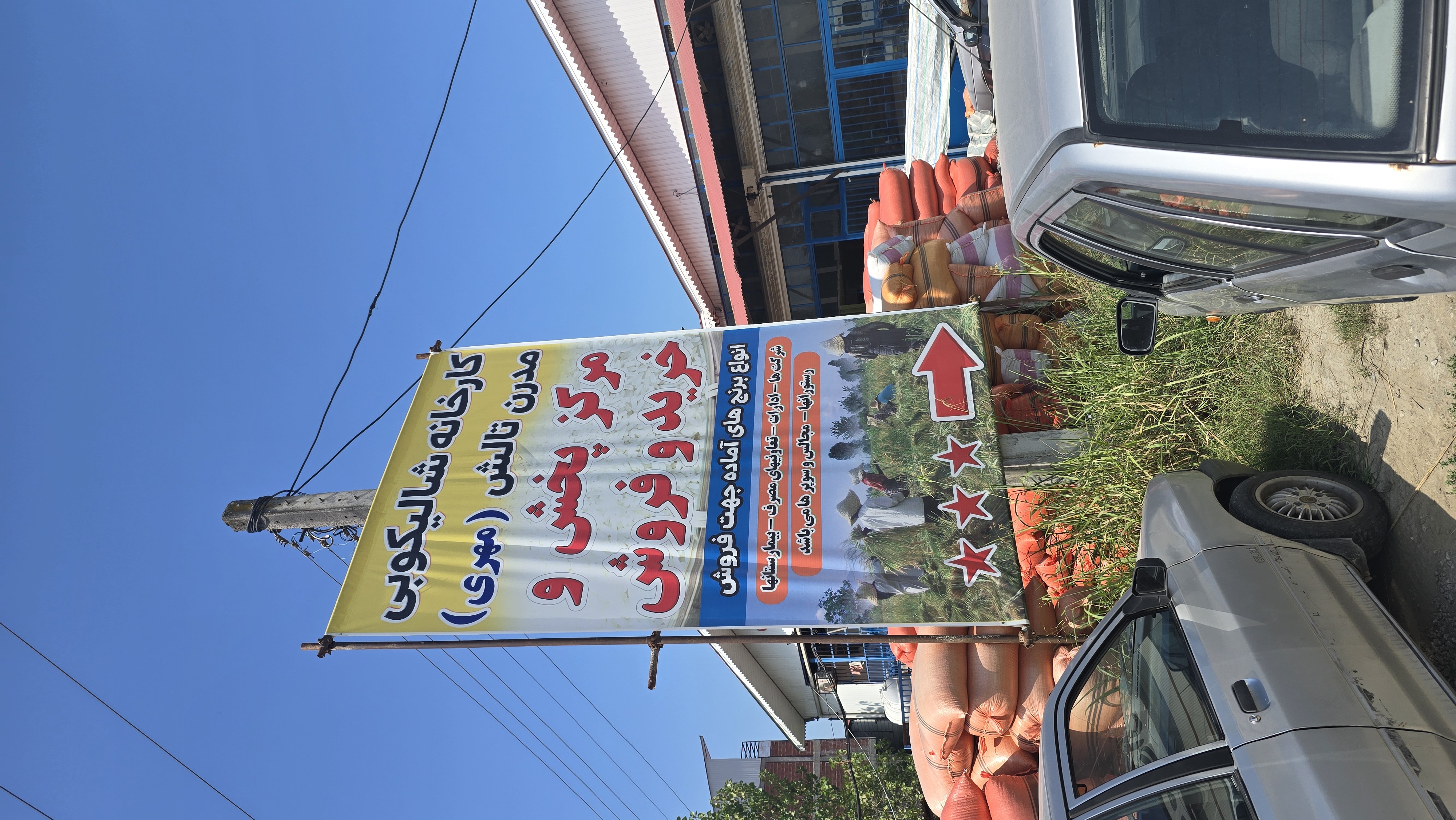 برنج  هاشمی